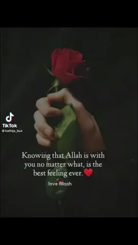 #totalyviral #viraltiktok #viral #tiktokofficial #motivation #motivational #islam #islamic 