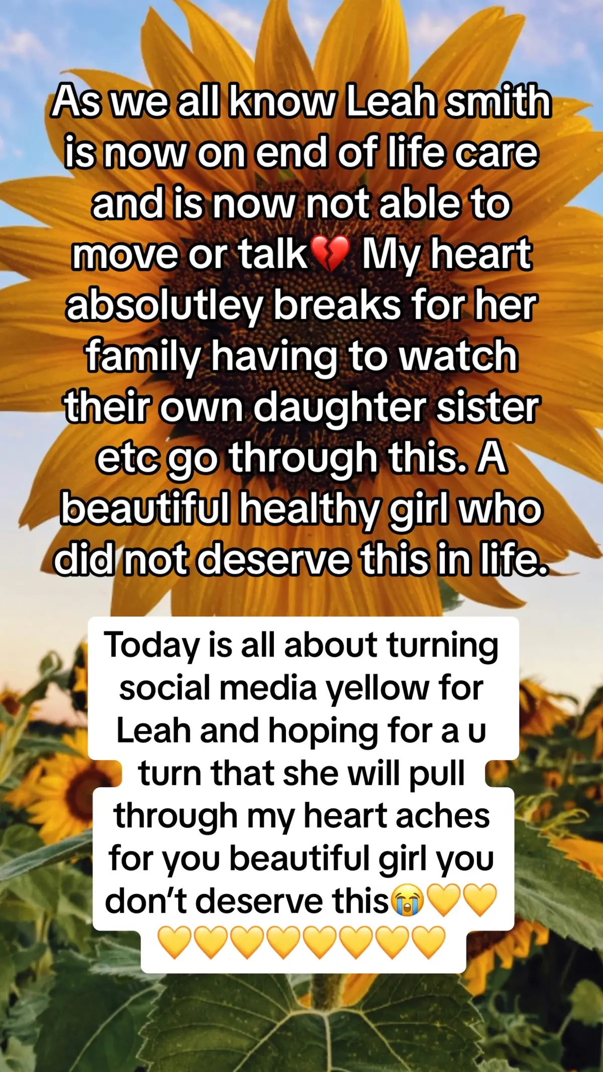 #fypシ #viral #leahsmith #stage4cancer #yellow                    💛💛💛💛💛💛🌻🌻🌻🌻🌻🌻