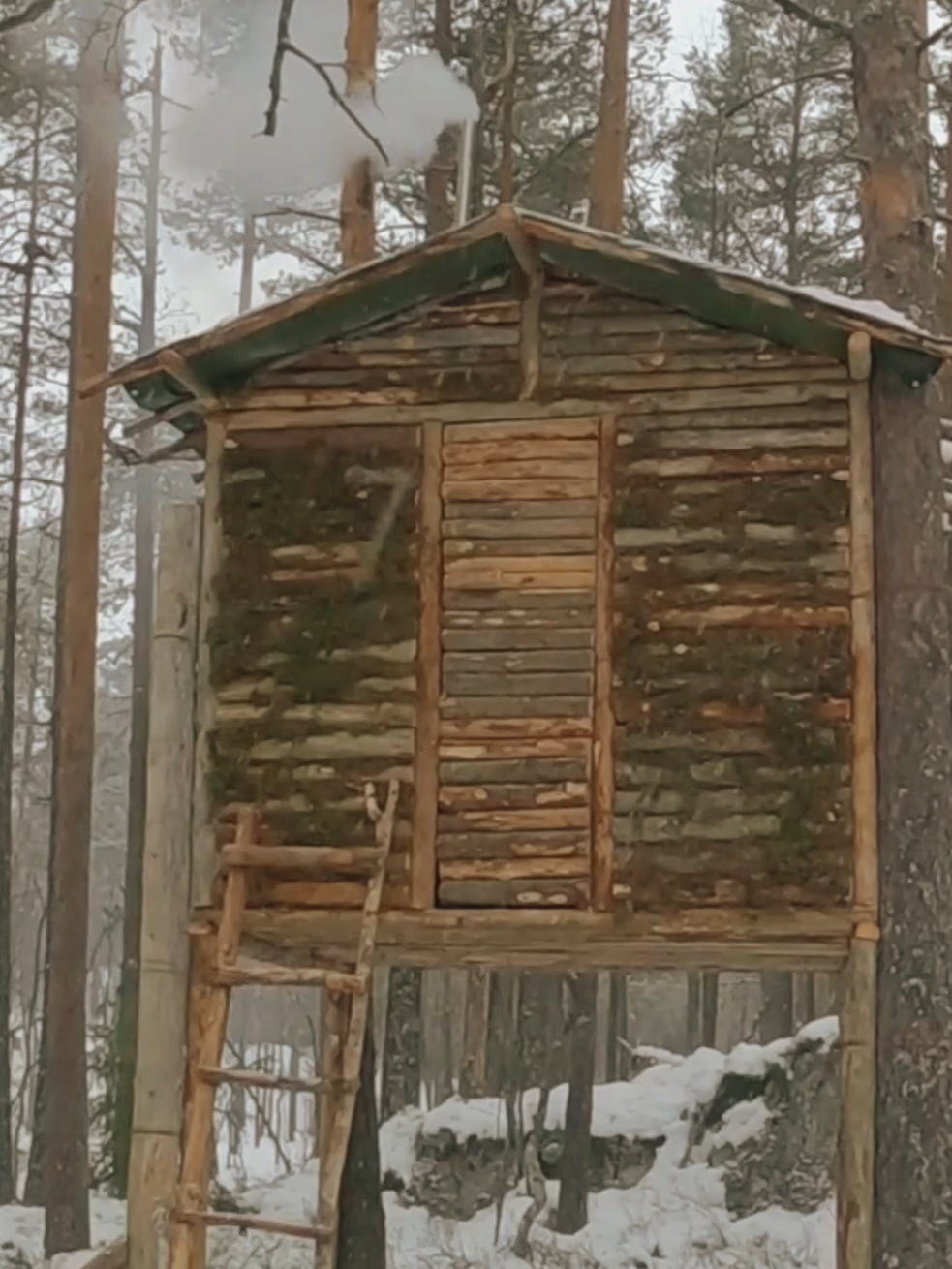 Building a Treehouse in the winter forest #bushcrafting  #build  #camping  #ourdoor  #shelter  #survival  #viral  #fyp  #camp  #craftingvisionary