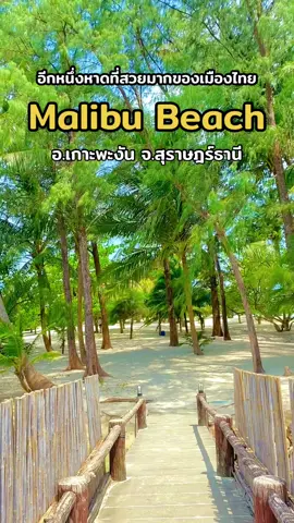 สุราษฎร์ธานีก็มีหาดสวย ๆ แบบนี้ #มาลิบูบีช #หาดโฉลกหลํา #เกาะพะงัน #สุราษฎร์ธานี 