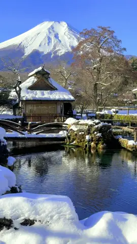 雪の忍野八海と富士山 Japanese traditional building and Mt.Fuji at Oshino Hakkai in Yamanashi prefecture. #japan #富士山 #mtfuji #snow #雪 