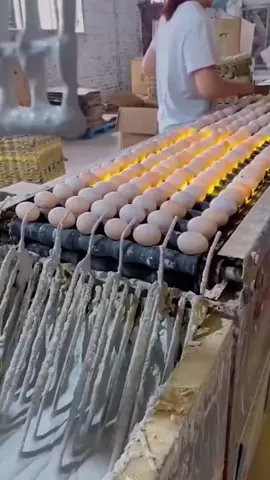 Satisfying food manufacturing processes