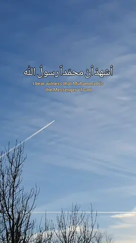 #islamic_video #loveallah #foryou #foryoupage 
