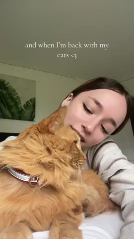comfort 