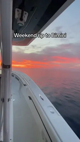 2nd trip to the Bahamas this week. Next stop Key West. More videos this week. Follow the insta link in bio for more. Tiktok no fish were harmed in this video. #bahamas #travel #springbreak #offshore #boat #yacht #fish #fishing #diving #spearfishing #fishtok #reef #wahoo #grouper #snapper #Lyonfish 