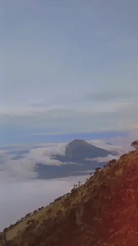 Lautan awan Sumbing #gunungsumbing #lautanawan #fyp 
