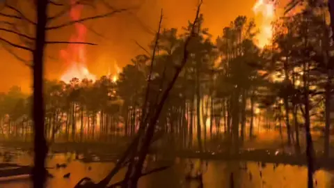 Extreme Forest Fire #foryou #fyp #viral #forestfire #firerescue #fire #fypシ゚viral 