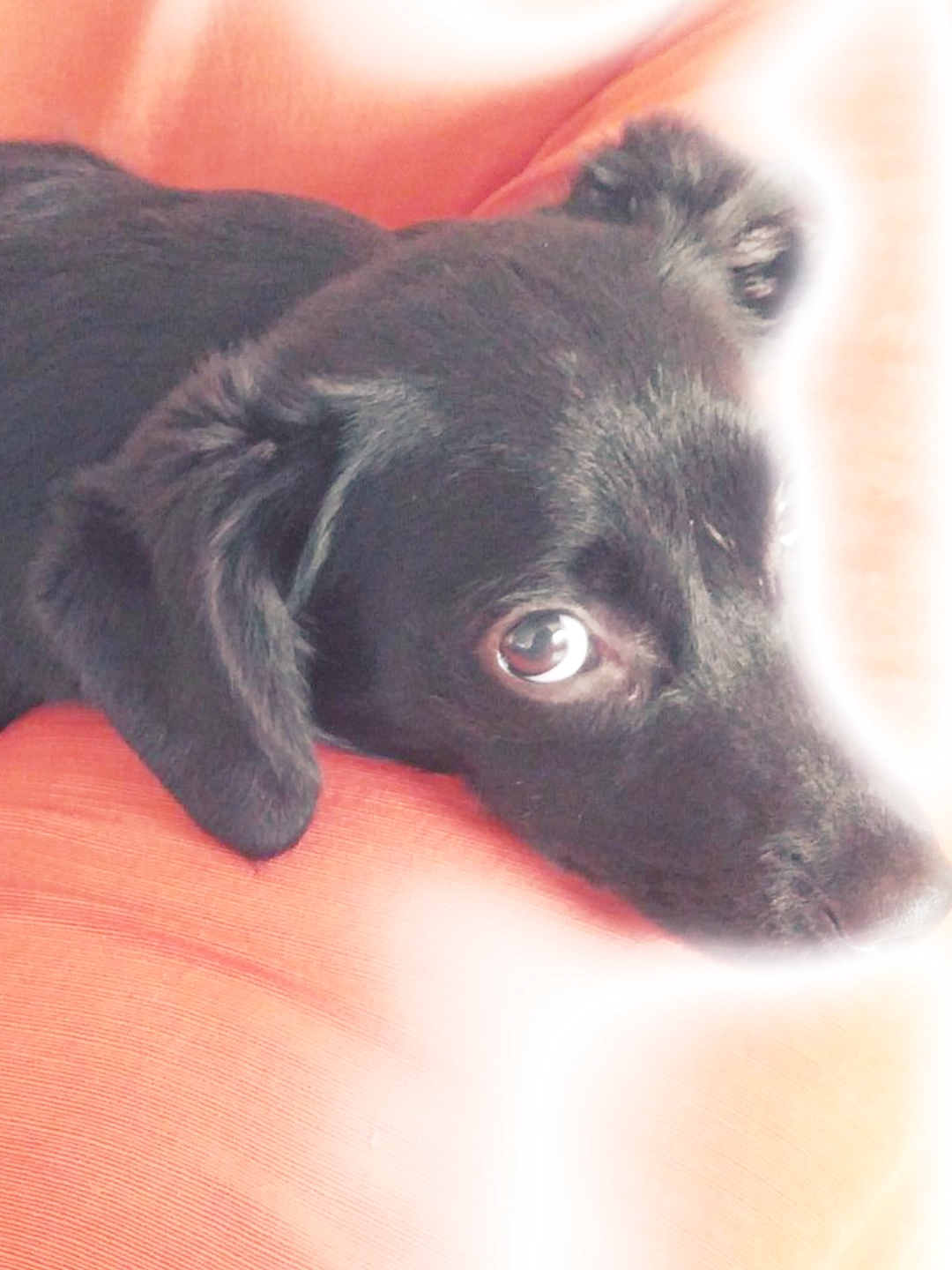 luluuuu