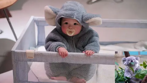 Gấu Koala xin chào cô chú ạ #viaconcung #viaconyeu #babycutevideos #xinviaembe #tromviaconyeu 