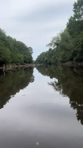 This is my happy place, I love the river 😌 #fishing #riverlife #happyplace #swamp #nature 