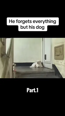 He forgets everything but his dog #animals #dogsoftiktok #dogs 