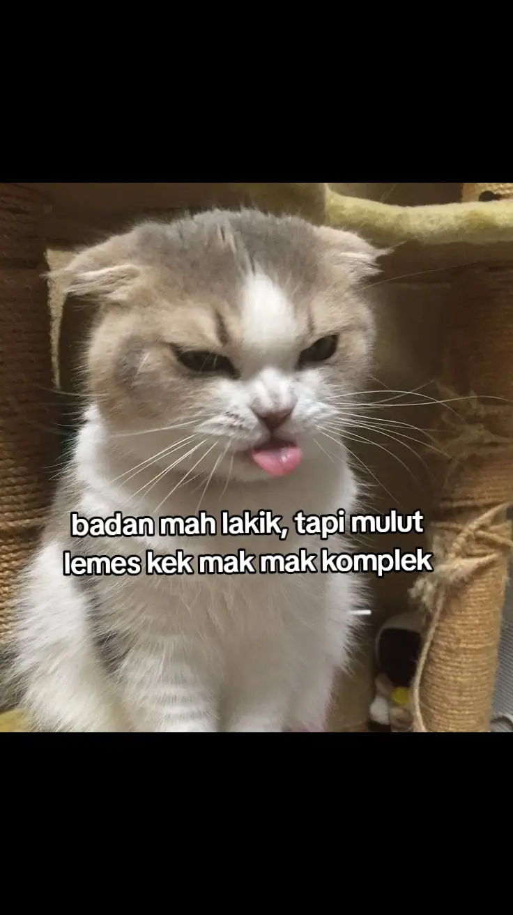 #4u #masukberanda 