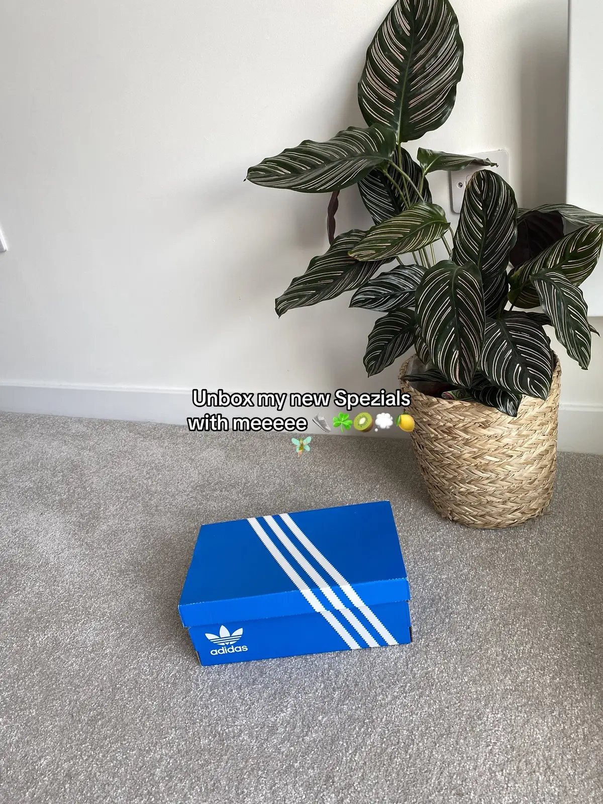 A green girls dream #fyp #adidas #adidasspezial #spezial #springtrends #summer24 