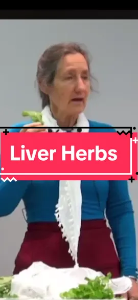 Liver herbs we need to take notes of. By Barbara O’neill #liver #herbs #lemon #lemonwater #dandelions #barbaraoneill #education #educationalvideo #health #healthy 