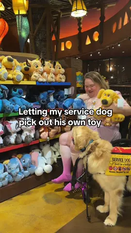 I cant believe he chose… 🤯 #servicedog #servicedogsoftiktok #servicedogteam #disneyparks #waltdisneyworld #hostedbydisney 