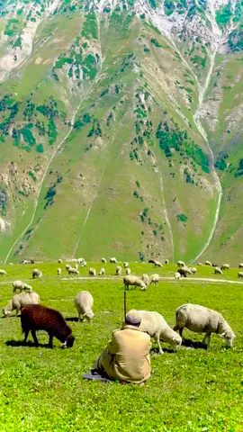 “Feel the vibe ❤️” 🤙 Follow for more wanderlust adventures 📍 Sonamarg, Kashmiri, India 🇮🇳 🎥 @farhad_sonmarg | IG #fog #clouds #zindagi #kgl #glacier #viral #reelitfeelit #reelkarofeelkaro #reelsinstagram #kashmir #travelindia #travelrealindia #mountains #snow #sonamarg #exploreindia #visitindia