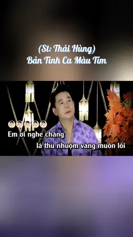 Bản tình ca màu tím#xuhuong2024 #NhacHaymoingay #music #trending #chachacha #bolero 