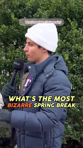 Asking NEU students about their Spring Break 🌴#student #college #northeastern #northeasternuniversity #manonthestreet #streetinterview 