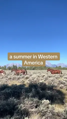 not a thing more romantic than those Tetons #fyp #foryou #wyoming #cowboy 