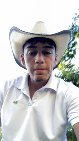 #galgo #mivida #ayayay #pariente 
