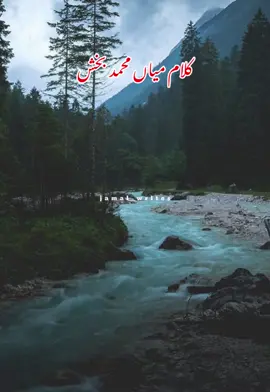 سوکھیا پتیاں ہرا نہی ہونا 🖤 #miamuhammadbaksh #foryoupage #standwithkashmir #burhan_tv #sufyanakalam #status #whatsappstatus #Ramadan #lyrics #status #video #jamalwrites #kalam #naat 