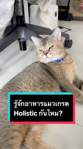 ลาบปากแมวอ้วนลองชิมอาหารแมวเกรดเดียวกับของคน จะถูกปากไหมต้องดู #มูมินแมวเหนียง #มู้ดดี้แมวแสบ #Kippy #kippyfiesta #kippysignature #อาหารแมวholistic #อาหารแมวนำเข้า #อาหารแมวตัวแน่น #อาหารแมวมีคอลลาเจน #อาหารแมว #สวนสัตว์tiktok #tiktokcreator 