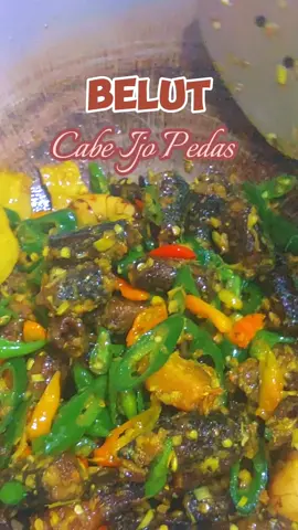 Buka Puasa dengan Oseng Belut Lombok Ijo 🫶🙏 Jujur ini enak banget bangettt  #osengbelut #menubukapuasaramadhan #ramadhan2024 