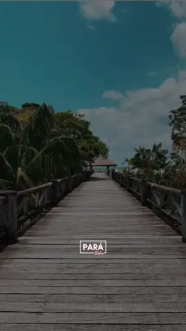 Arrependida  - Banda Açaí Pimenta #bandaacaipimenta #melodymarcantes #melodyparaense #tecnomelody #belemdopará #paraensesnotiktok #marcantes_do_pará #marcantesparaenses 