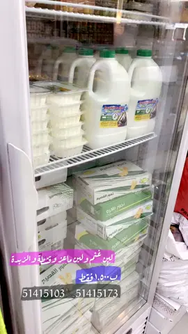 لبن فرش #دله_وقدوع #الجهراء_الكويت #الكويت🇰🇼 