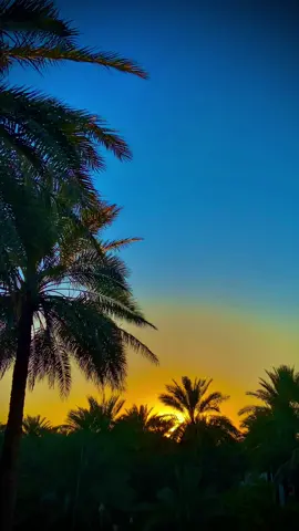 #سؤال أول حب بحياتك وين صار 🥺💔#مناضر_طبيعيه #الطبيعه_اجمل_شي_للراحه_النفسيه #تصويري #تقيمكم_من_10 #صعدوو_ءڪڪسبلور_للايڪ_متابعه #وضعيات_تصوير #اجواء_خيالية #تحياتي_لجميع_المشاهدين_والمتابعين #تصويري_احترافي_الاجواء👌🏻🕊😴 #لايك__explore___ #مشاهير_تيك_توك_مشاهير_العرب @آبن الكوت 🍀📸 