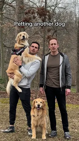 The betrayal is unmatched #dogsoftiktok #doglife #dogdad 