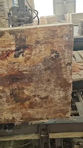 Slicing trees for table tops