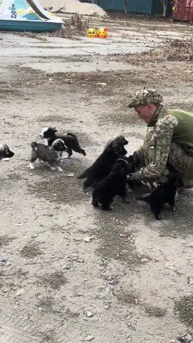 Коли мама сказала нікого не тягнути додому 😅 #1usach 