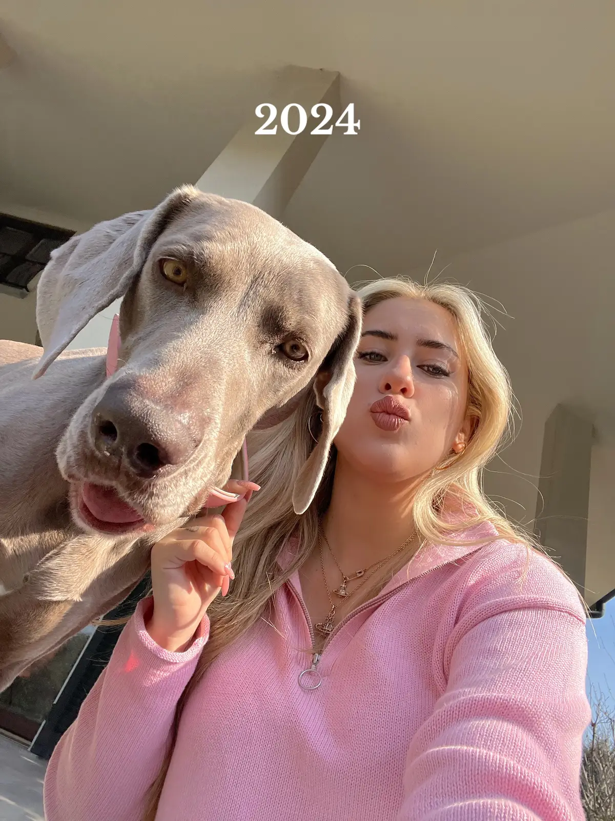 7 years together 🐾✨💗              #weimaraner #dogsoftiktok #weim #doglover #fy #foryou 