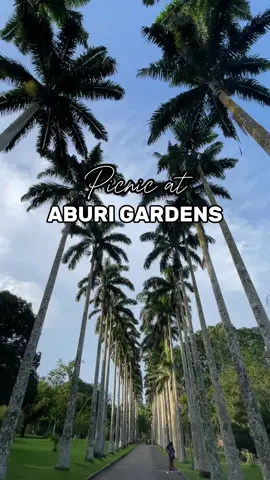 Aburi Gardens is the perfect spot for picnics with friends and loved ones.  Tag who you’d invite?  #aburi #garden #accra #fyp #ghanatiktok🇬🇭 