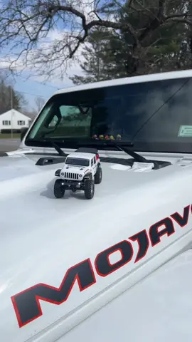 Mini Jollinator 😂❤️