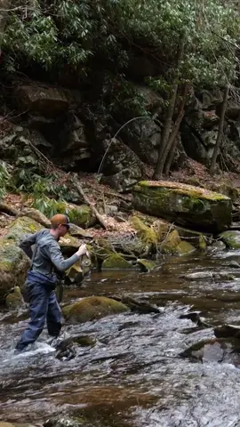Big ole brook trout! #tiktok #trout #troutfishing #fish #fishing #fishtok #viral #Outdoors #nature #flyfishing #fyo #foryou #foryoupage 