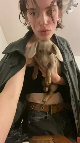 hoy conoci a Bella y merecia un video