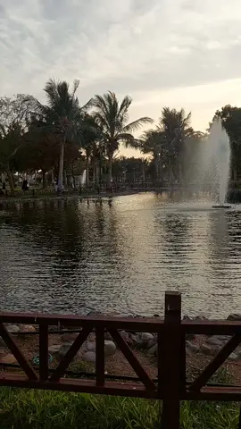 #ينبع_الصناعية  #حديقة_الطيور_ينبع 
