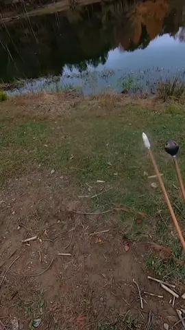 Whistling arrows #bowandarrow #arrow #hunt #whistle