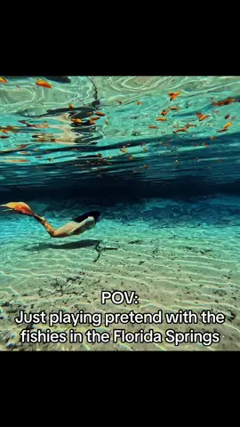 We can’t be friends? 🧜‍♀️🐠 Playing pretend with the fishies in the Florida Springs #mermaidcore #mermaidtail #floridasprings #freediving #arianagrande #pov 