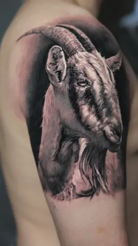Who is a fun of animal tattoos? #tattoo #tattooart #tattoosartist #tattooed #tattootiktok #armtattoo #sleevetattoo #tattooideas #tattooinspo #tattoolover #tattoolife #tattoostyle #animaltattoo #blackandgreytattoo 