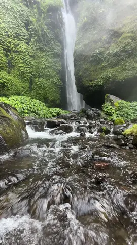 Witness the peaceful beauty of a Bali waterfall harmonizing with the untamed jungle 🍃 Let nature's symphony awaken your senses🌸 Bali's waterfalls are vital for the island's ecosystem, providing freshwater to flora and fauna💦 🎥 @tom_juenemann  #bali  #waterfall  #biodiversity  #naturelover  #wanderlust