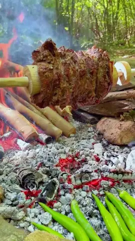 The grilled meat is so delicious, I want to share this wonderful taste with you, enjoy what nature gives you 🌳🌴🌲💚 #cookingasmr #outdoorcooking #leon 
