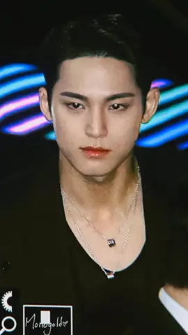 #mingyu #svt #bvlgari #carat #fyp #fypage 