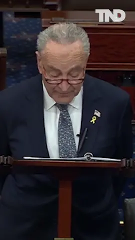 Senate Majority Leader Chuck Schumer says Israeli Prime Minister Benjamin Netanyahu has 