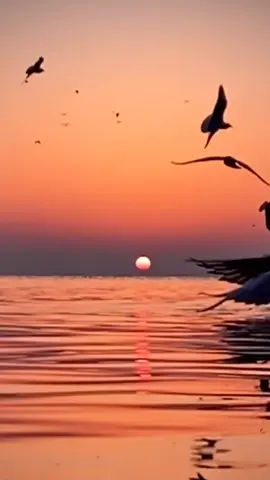 هل تعلمي ياصديقتي  ان السيارة تشتغل ع البنزين ونحن نشتغل ع القهوة  😊😊😊😊  تقبل الله صيامكم جميع #🙏🙏🙏🙏🙏 