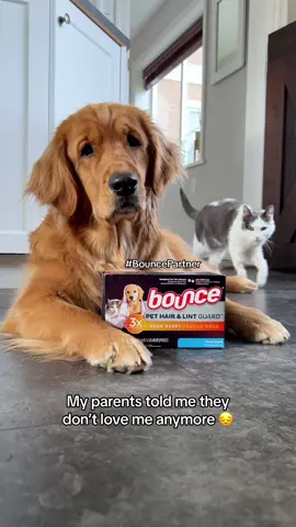 Don’t let pet hair stop you from giving your furry friends all the love they deserve 🤗 #BouncePet #BouncePartner #ad  With 3x more pet hair fighters and 2x bigger than regular Bounce dryer sheets, experience the difference for yourself 🙌🏼  #goldenretriever #dogsoftiktok #dogtok 