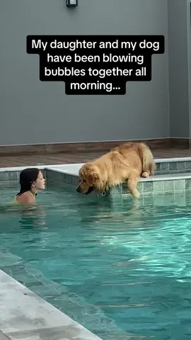 My heart melted when the DOG tried to blow bubbles too 😭😭 #Pubity (Via: @ViralHog)