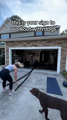 12/10 experience with these pups joining us #workout #Fitness #health #teacher #peteacher #highschoolteacher #youngteacher #dogs #dogsoftiktok 